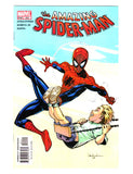 AMAZING SPIDER-MAN #502 (2004) NM