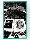 V FOR VENDETTA #6 (1988) NM-/NM