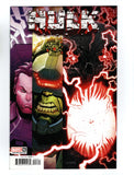 HULK #6 RYAN OTTLEY TEASER VARIANT COVER (2022) NM-