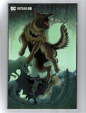 BATMAN: URBAN LEGENDS #15 (2022) KARL MOSTERT & TRISH MULVIHILL VARIANT COVER NM-