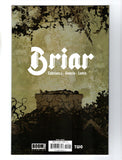 BRIAR #2 (2022) TULA LOTAY REVEAL VARIANT COVER H NM-