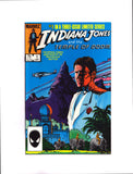 INDIANA JONES AND THE TEMPLE OF DOOM #1 (1984) VFNM/NM-