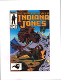 FURTHER ADVENTURES OF INDIANA JONES #21 (1984) VFNM/NM-