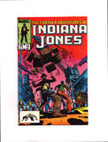 FURTHER ADVENTURES OF INDIANA JONES #15 (1984) NM-/NM
