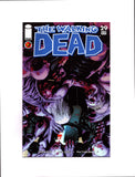 WALKING DEAD #29 (2006) NM