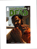 WALKING DEAD #23 (2005) NM