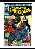 AMAZING SPIDER-MAN #204 (1980) VF-/VF