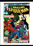 AMAZING SPIDER-MAN #204 (1980) VF-/VF