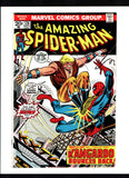 AMAZING SPIDER-MAN #126 (1973) VF/VF+