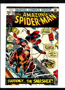 AMAZING SPIDER-MAN #116 (1973) VF/VF+