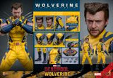 HOT TOYS DEADPOOL & WOLVERINE - WOLVERINE DELUXE 1:6 SCALE FIGURE
